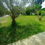 Masseria Tenuta I Quattro Venti