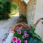 Agroturismo Masseria Tenuta I Quattro Venti