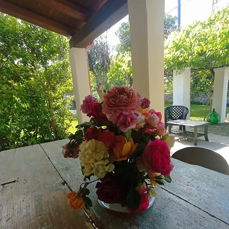 Masseria Tenuta I Quattro Venti ファームステイ