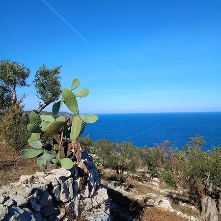 Masseria Tenuta I Quattro Venti ファームステイ オートラント