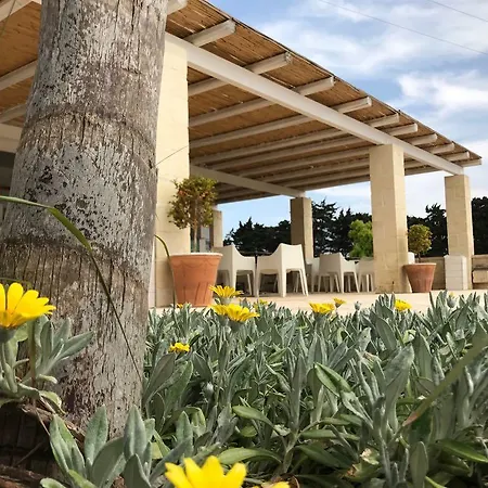Masseria Tenuta I Quattro Venti Farm stay