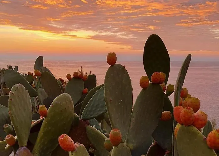 Masseria Tenuta I Quattro Venti Agroturismo