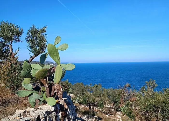 Masseria Tenuta I Quattro Venti Agroturismo Otranto